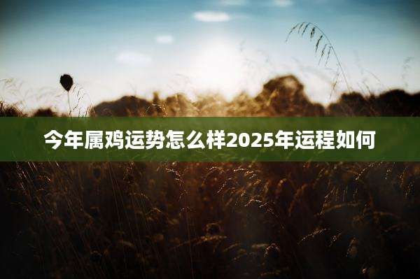 今年属鸡运势怎么样2025年运程如何