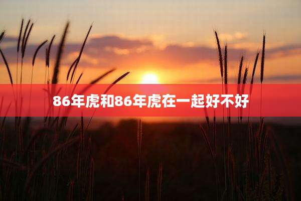 86年虎和86年虎在一起好不好