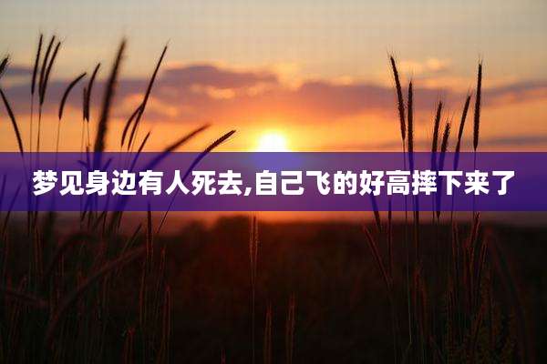 梦见身边有人死去,自己飞的好高摔下来了