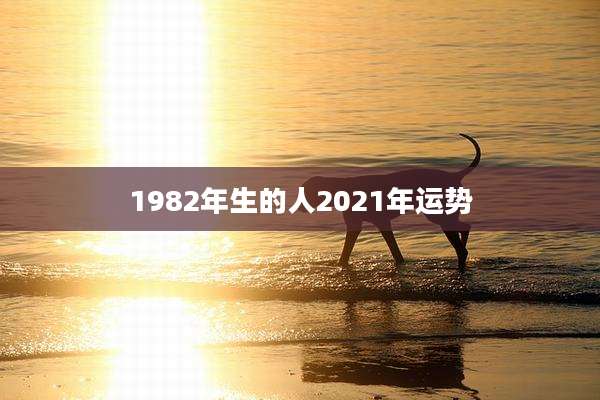 1982年生的人2021年运势