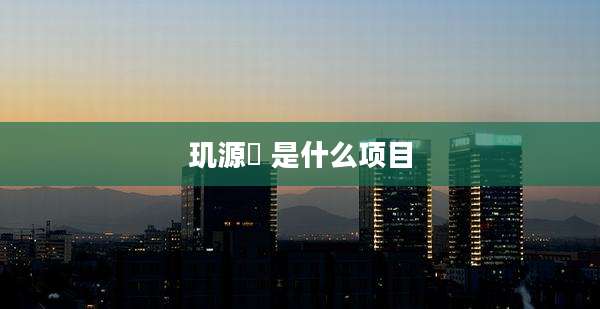 玑源晳 是什么项目