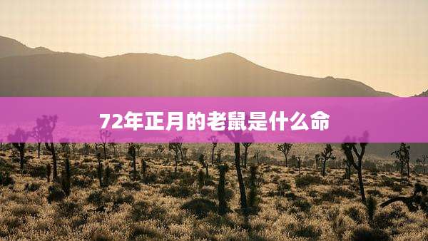 72年正月的老鼠是什么命