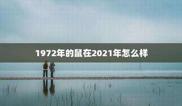 1972年的鼠在2021年怎么样