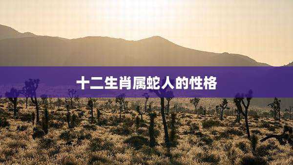 十二生肖属蛇人的性格