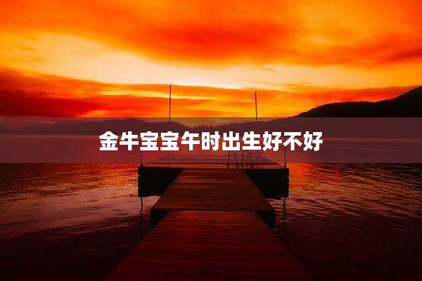 金牛宝宝午时出生好不好