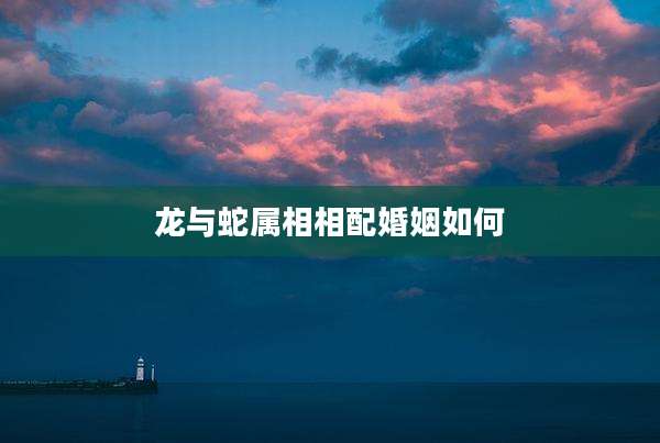 龙与蛇属相相配婚姻如何