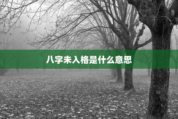 八字未入格是什么意思