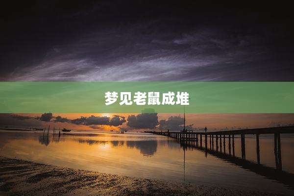 梦见老鼠成堆