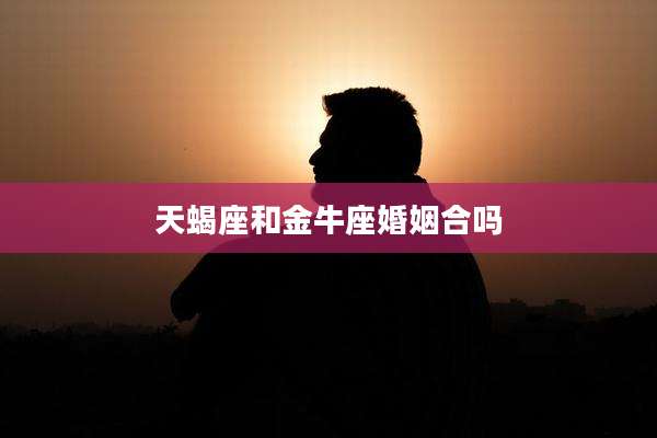 天蝎座和金牛座婚姻合吗