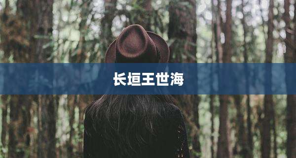长垣王世海