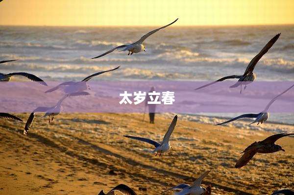 太岁立春
