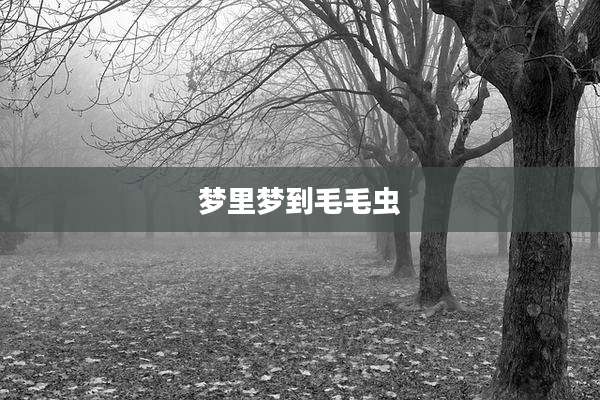 梦里梦到毛毛虫