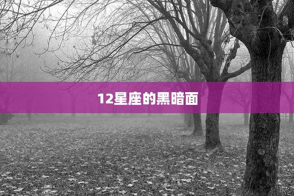12星座的黑暗面