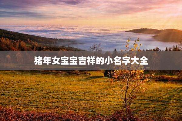 猪年女宝宝吉祥的小名字大全