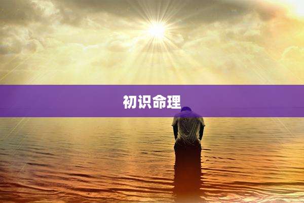 初识命理
