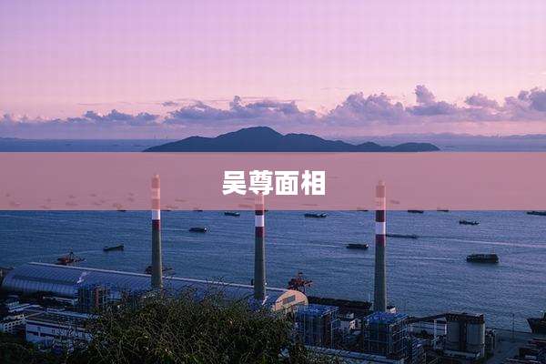 吴尊面相