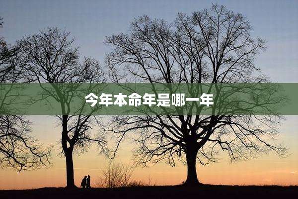 今年本命年是哪一年