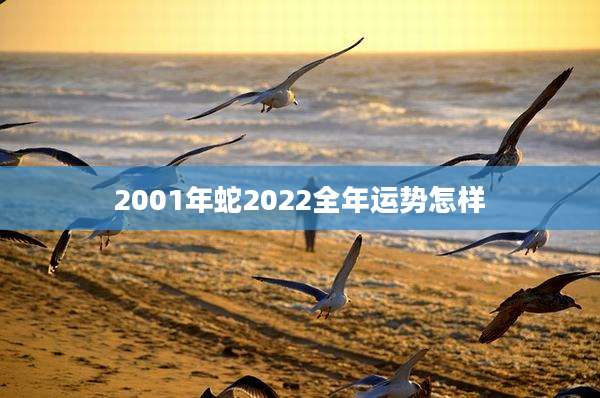 2001年蛇2022全年运势怎样