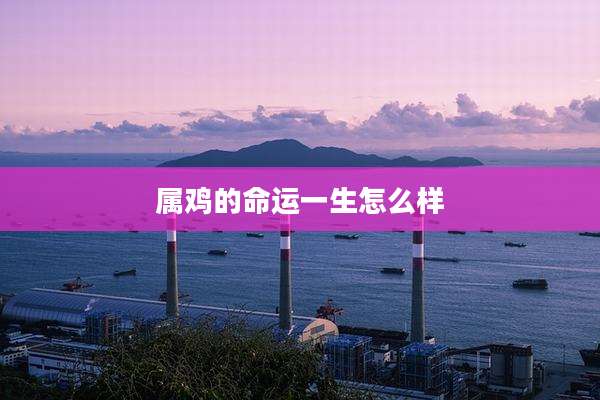 属鸡的命运一生怎么样