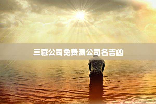 三藏公司免费测公司名吉凶