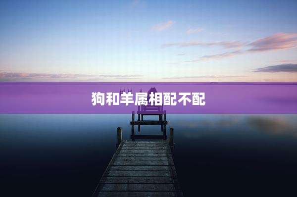 狗和羊属相配不配