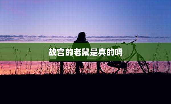 故宫的老鼠是真的吗