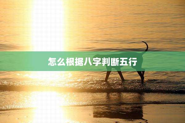怎么根据八字判断五行