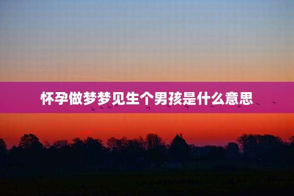 怀孕做梦梦见生个男孩是什么意思