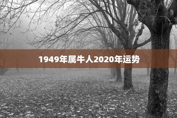 1949年属牛人2020年运势