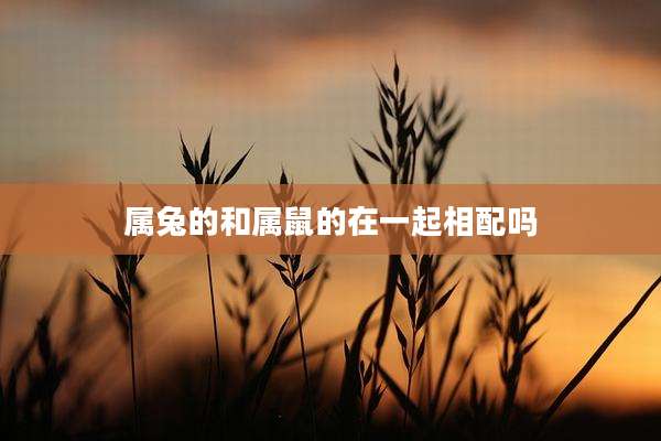 属兔的和属鼠的在一起相配吗