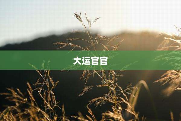 大运官官