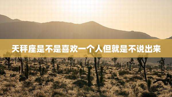 天秤座是不是喜欢一个人但就是不说出来