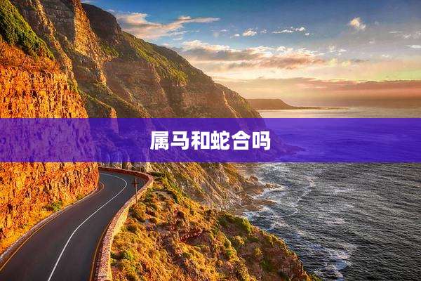 属马和蛇合吗