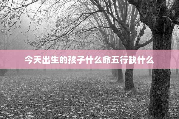 今天出生的孩子什么命五行缺什么