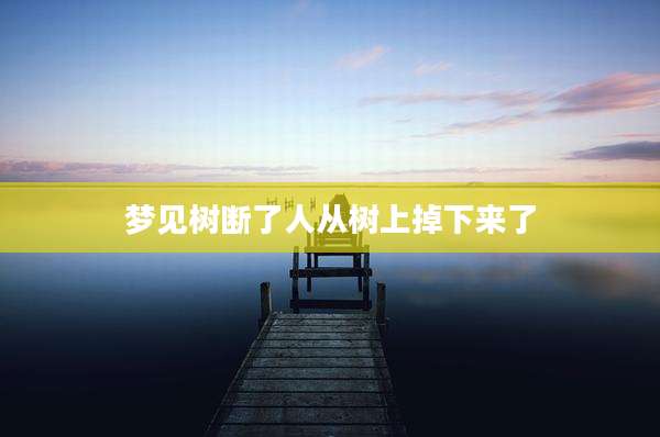 梦见树断了人从树上掉下来了