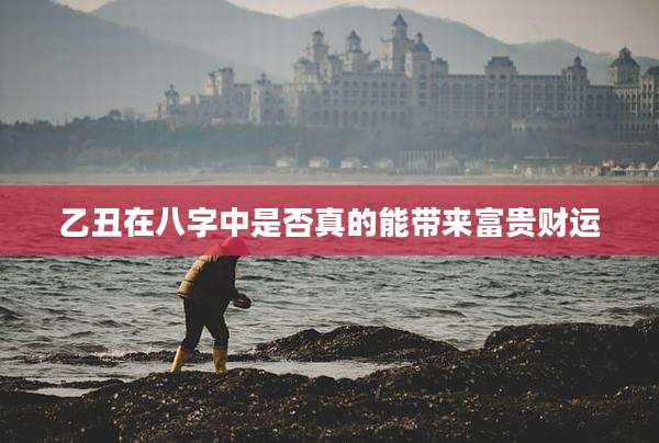 乙丑在八字中是否真的能带来富贵财运