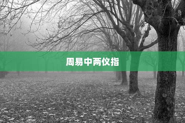 周易中两仪指