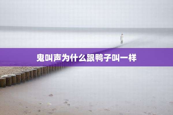 鬼叫声为什么跟鸭子叫一样