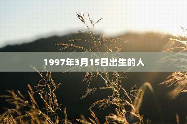1997年3月15日出生的人