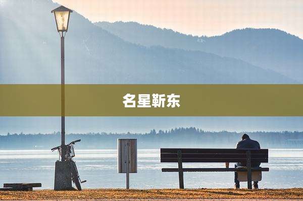 名星靳东