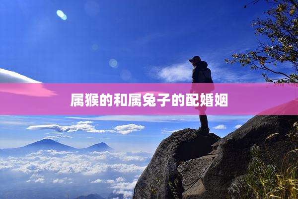 属猴的和属兔子的配婚姻