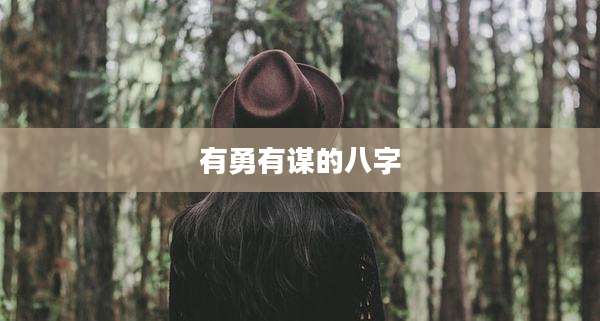 有勇有谋的八字