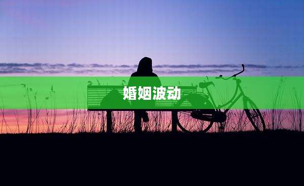 婚姻波动