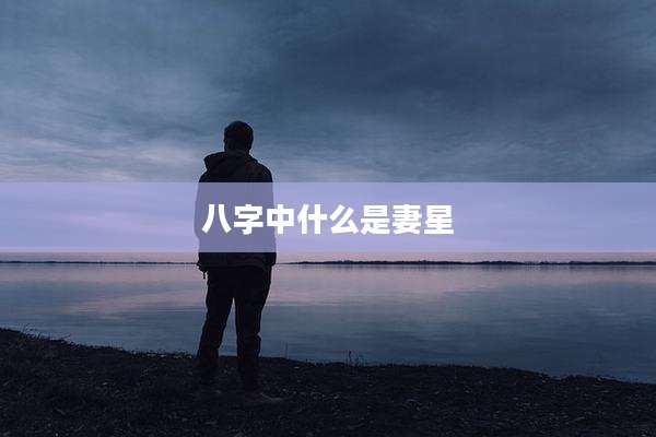 八字中什么是妻星