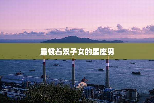 最惯着双子女的星座男