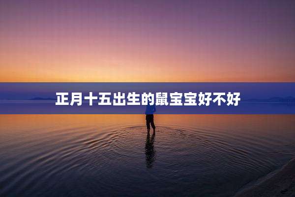 正月十五出生的鼠宝宝好不好