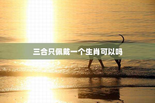三合只佩戴一个生肖可以吗