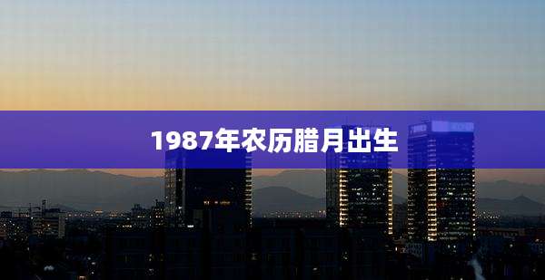 1987年农历腊月出生