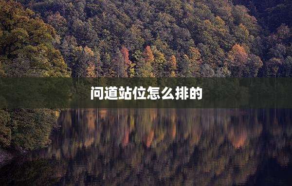 问道站位怎么排的