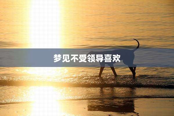 梦见不受领导喜欢